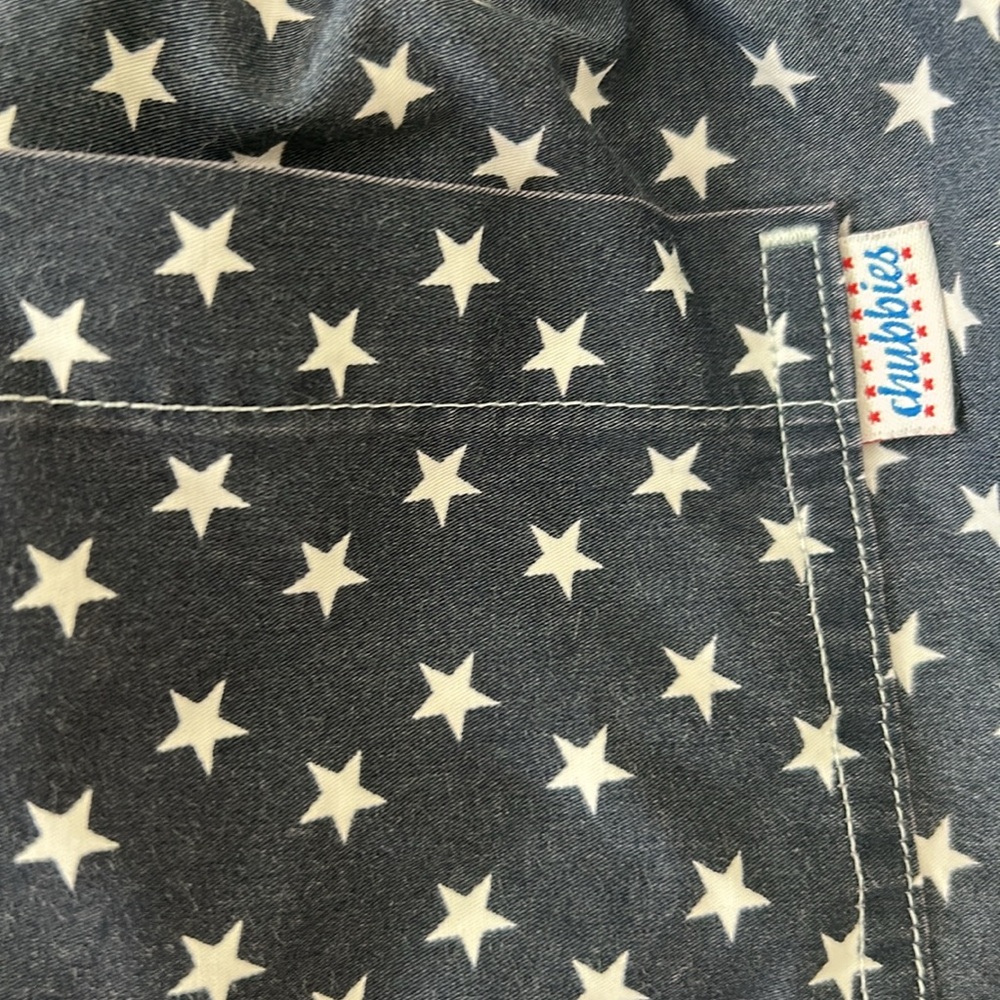 Chubbies The Mericas Swim Trunks sz L - Picture 6 of 8